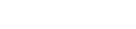 Skill Set